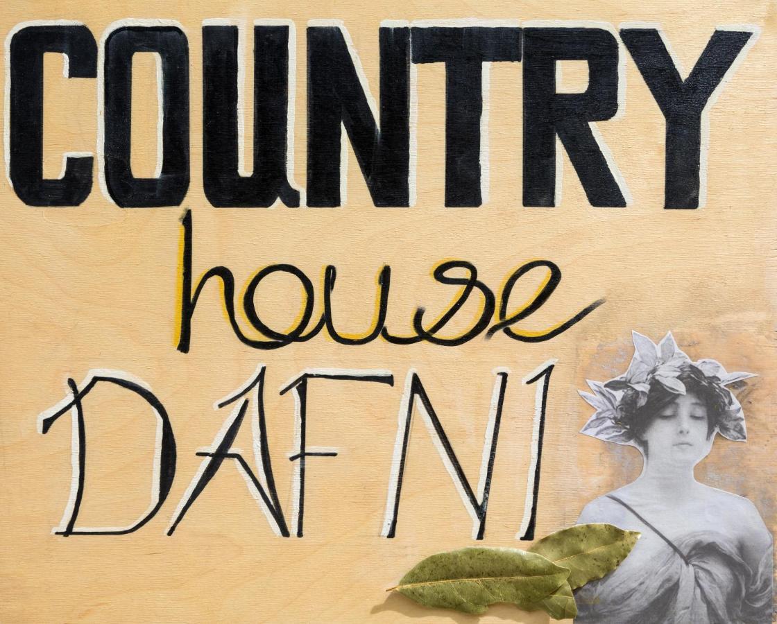 Country House Dafni วาซิลิคอส ภายนอก รูปภาพ